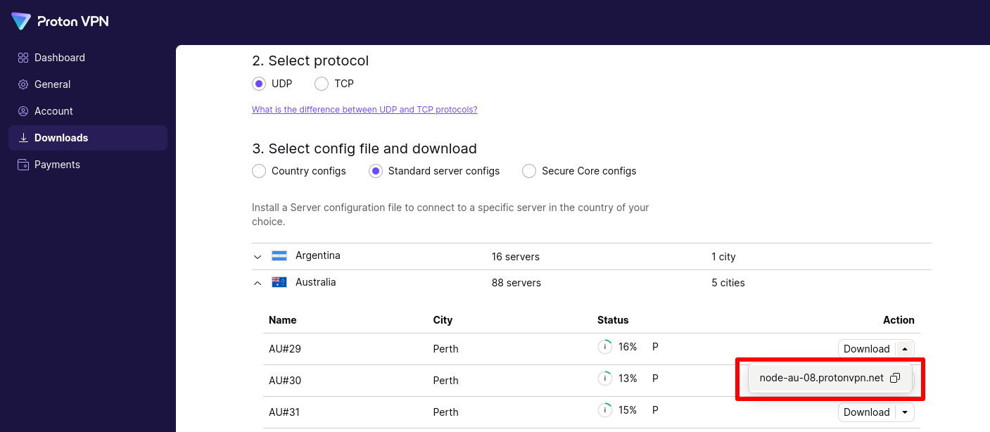 Download the OpenVPN config file for your prefered server