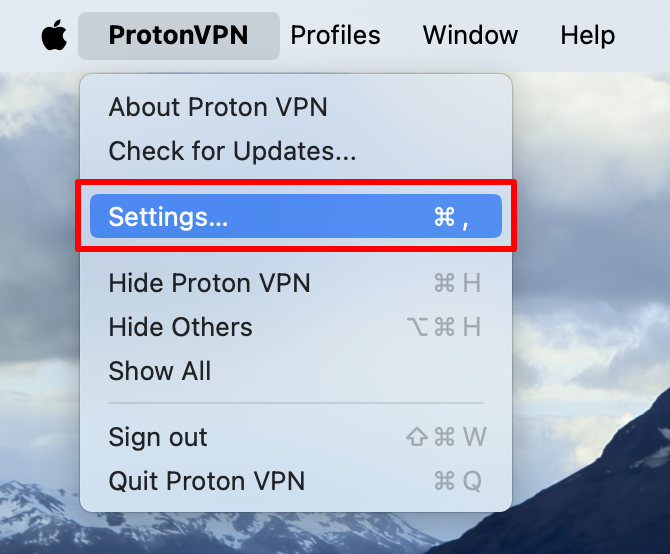 Open Proton VPN settings